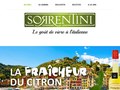 Limoncello de Sorrentini : à déguster seul et bien frais ou incorporé dans différentes recettes