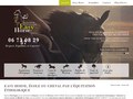 Easy Horse : centre équestre à Rennes en Bretagne