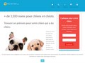 Meilleurs noms de chiens 