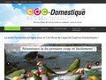 CDC Domestique : qcm certificat de capacité animaux domestiques