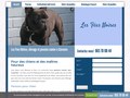 Les Fées Noires : chiots bouledogue français à Cuesmes