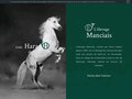 Elevage Manciais : élevage de chevaux de sports