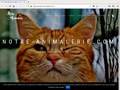 Notre animalerie en ligne