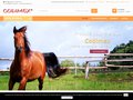 Aliments pour chevaux
