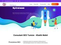Consultant SEO en Tunisie